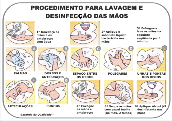 A IMPORTÃ‚NCIA DE LAVAR AS MÃƒOS